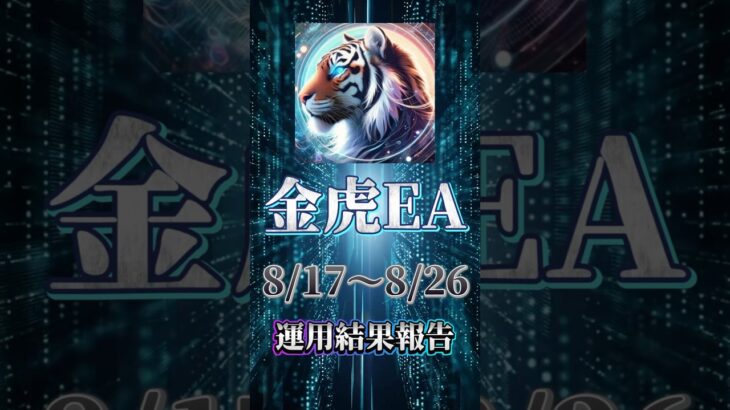 【自動売買】【FX】金虎EA運用報告🔥10日の運用で70万超え！！【金虎EA】【投資】【副業】#大学生#FX初心者#副業#株#FX#EA#自動売買#投資#FX自動売買