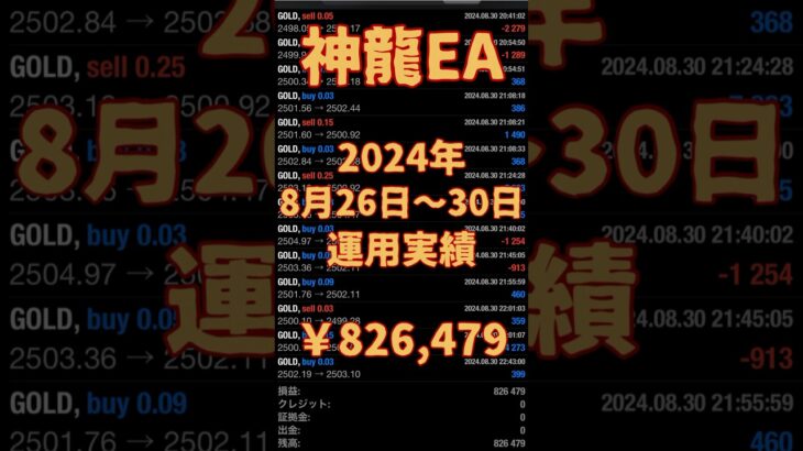 【FX自動売買検証】🐉神龍EA🐉2024年8月26日〜30日運用実績⭐️ 神龍EA  投資  不労所得  初心者  仮想通貨  副業  爆益