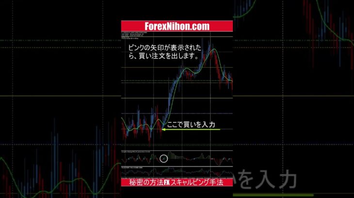 秘密の方法FX スキャルピング手法