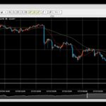 【FX】8月相場予想とトレード