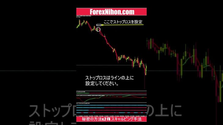 秘密の方法v.2 FX スキャルピング手法