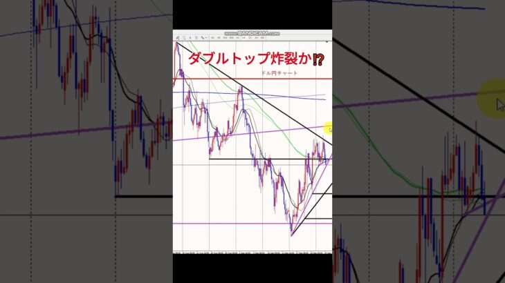 ドル円今週の勝負ポイント #投資 #fx手法 #お金