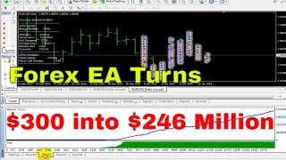 Forex EA Turns $300 into $246 Million – Get Your Download