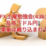 FX土曜勉強会(436)乱高下ドル円❕しかし事象は織り込まれていた❕