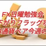 FX日曜勉強会 右肩下がりフラッグ攻略法 主要3通貨ペア今週の展望