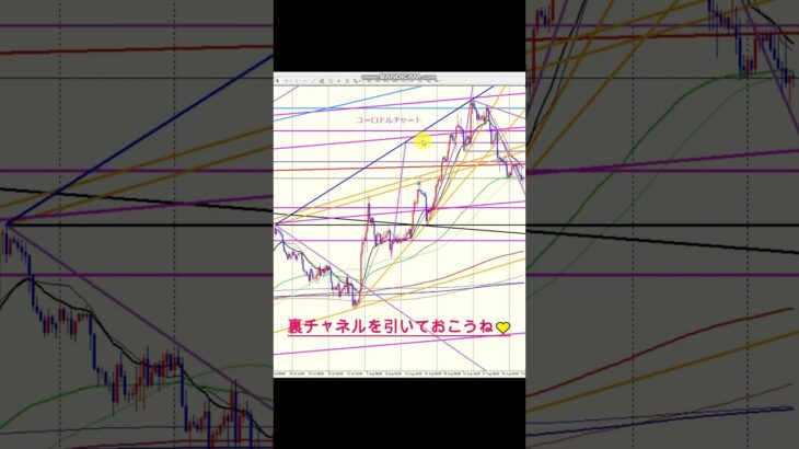 FX週中レクチャー09.04