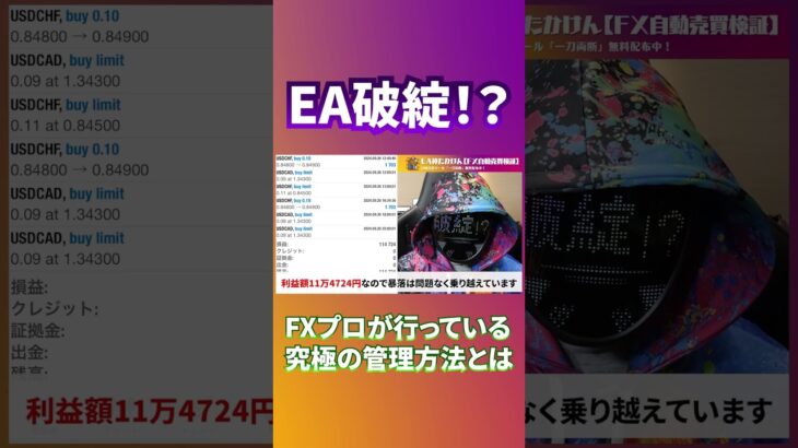 【EA破綻？】FXで稼ぎ続けていく為の究極の管理方法をプロ目線から徹底的に解説します（FX自動売買検証）#fx #ea #副業