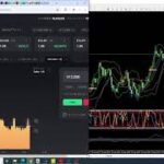 バイナリーオプション ビットコイン 逆張り検証 240831