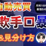 【FX自動売買】初心者がEA選びで勘違いしていること 後編【EAの勉強 初級編】