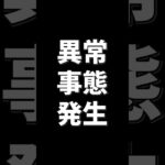 【FX自動売買】異常事態発生！今年の収益がエグい…【FX】【EA】【金虎】【ミリオンシップ】【神の目】【投資】【新NISA】