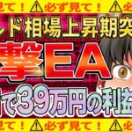 【FX自動売買】今回も爆益？爆撃EAの最新10日間運用の結果報告！