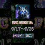 【自動売買】【FX】BTC WOLF運用報告！今週も順調に収益アップ✨【BTC WOLF EA】【投資】【副業】#大学生#FX初心者#副業#株#FX#EA#自動売買#投資#FX自動売買