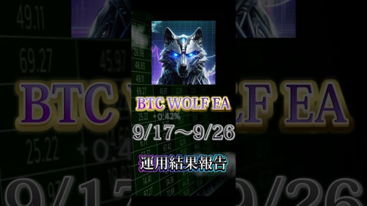 【自動売買】【FX】BTC WOLF運用報告！今週も順調に収益アップ✨【BTC WOLF EA】【投資】【副業】#大学生#FX初心者#副業#株#FX#EA#自動売買#投資#FX自動売買