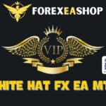 WHITE HAT FX EA – How to video setup – ForexEAshop