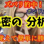 【FX王子】ポンドル予測ズバリ的中！秘密のチャート分析法は○○覚えよう！