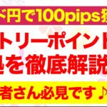 【FX】ポンド円の立ち回りとエントリー根拠を解説【ビットコイン】【BTC】【ドル円】【USDJPY】【GOLD】【ユーロドル】【XAU USD】