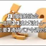 FX日曜勉強会　ユーロ円3-3波と5波トレード　＆主要3通貨ペア今週の展望