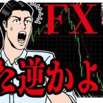 【勘違い注意】FXは人気投票で決まらない！初心者は損し続けている