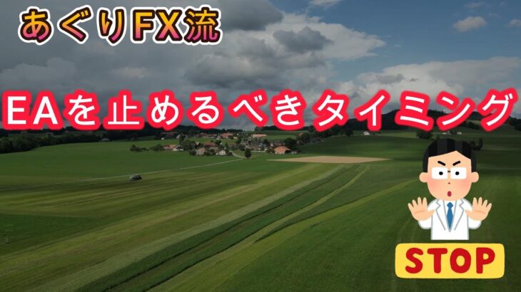 【FX自動売買】管理型EAを上手く管理するには！？EAを止めるべきタイミングについて僕の考えをお伝えします！