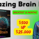 Amazing Brain MT4 Review and Backtests | FX STORE EA