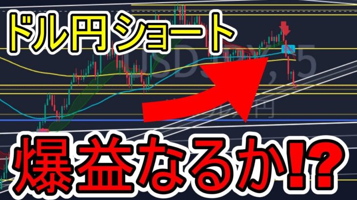 【Fintokei】2000万円口座で年末までにFXとバイナリーで300万稼ぐ配信【FX初心者・バイナリー先出し】