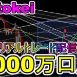 【Fintokei】2000万円口座で年末までにFXとバイナリーで300万稼ぐ配信【FX初心者・バイナリー先出し】