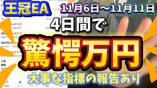 【FX自動売買】【王冠EA】動画の後半に大事な報告あり！見ないと損するかも⁉️