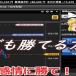 ゆっくり実況　FX  初心者必見！　感情的にならなければ勝てる！