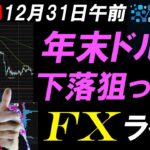 FXライブ配信スキャルピング！ドル円急落で156円台へ！年末クラッシュに注意！今年プラ転したがその後は…リアルタイムトレード実況！