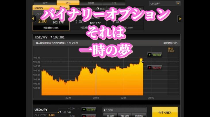 [FX教材動画] 　バイナリーオプションの勝率は1/2？　そうは思えないんですが・・　暴落　FX 大損　FX　ロスカット　FX教材動画　トルコリラ　　　ドル円　FOMC 日銀　政策金利　日経平均