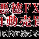 悪徳FX自動売買3ヶ月以内に溶ける理由を時系列で解説【バイナリー】