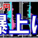 【ドル円爆上げ＆今週の投資結果＆ヒロセ通商祭りで衝撃】2024年12月20日（金）FX実況生配信カニトレーダーチャンネル生放送1263回目