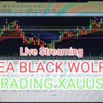 Live Trading Forex  XAUUSD dengan EA BLACK WOLF  (Real Account)