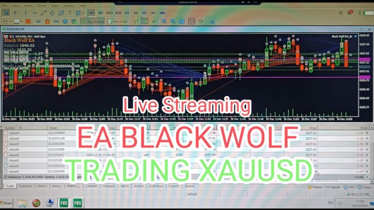 Live Trading Forex  XAUUSD dengan EA BLACK WOLF  (Real Account)