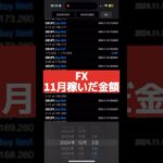 【fx 自動売買 ツール】11月の運用結果！#fx #fxスキャルピング #fxツール #shorts