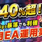 【EA月利140％超！？】900pips暴落が頻発した荒れ相場でどの様な動きをしたのか？11月運用実績を公開！（FX自動売買検証）