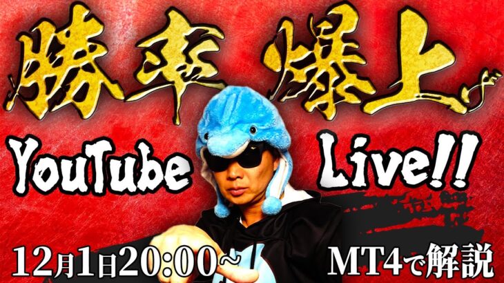 【12月1日20：00～】バイナリーであなたの勝率をupさせるイルカ先生の『MT4生LIVE』