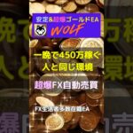 FX生活者・長期継続者多いFX自動売買システム☆爆益型なら月利200～500%☆ナント放置安定型でも月利100%☆上級者多いですがFX初心者サポ万全☆長期運営の安心環境