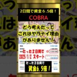 【たった2日で資金6.5倍】新EA「COBRA」リリース！