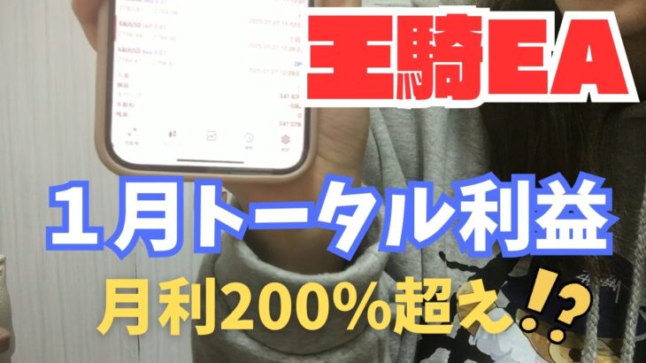 【月利200％⁉】スキャルピングでチャンスを増やせ！【王騎EA】【FX自動売買】