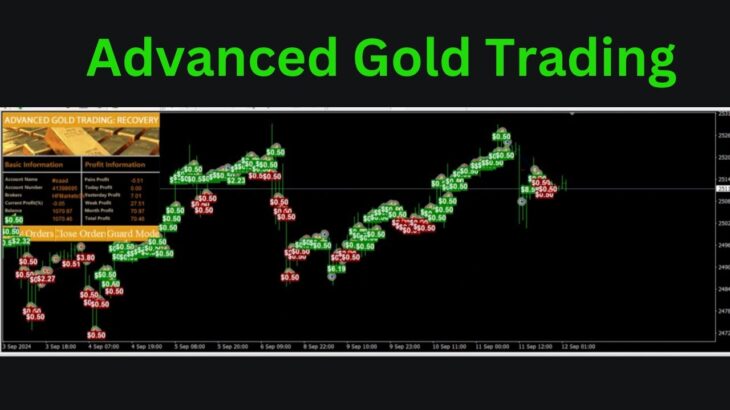 Advanced Gold Trading  MT4 EA | No DLL