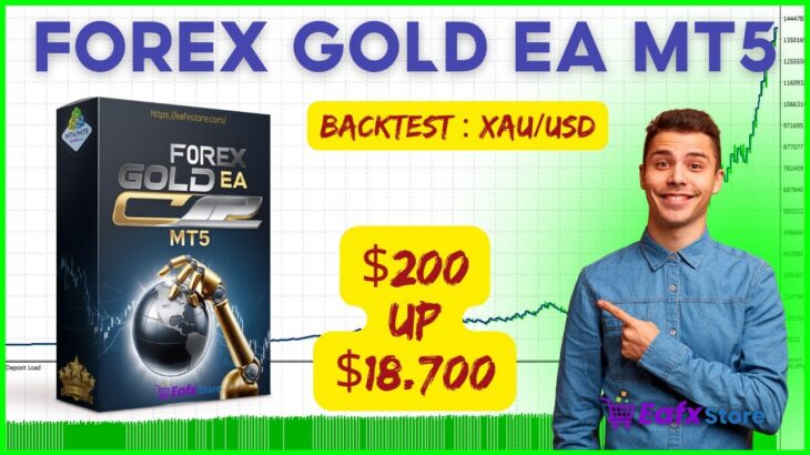 FOREX GOLD EA Setting and Backtest | FX STORE EA