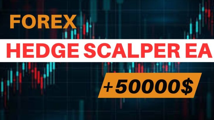 Forex Hedge Scalper EA V25 | 3032$ to 50100$ on Real Account