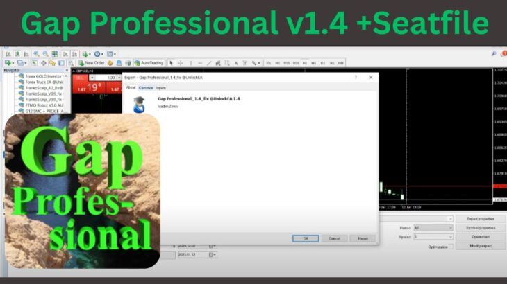 Gap Professional v1.4 +Seatfile MT4 EA | No DLL