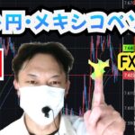 【FX生】必勝インジケーター組合せ活用！