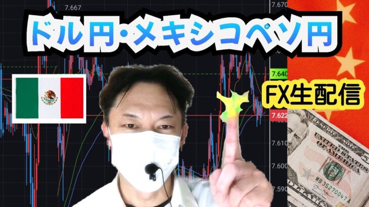 【FX生】必勝インジケーター組合せ活用！