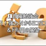 FX日曜勉強会 ドル円！強力Ｎからヨコヨコドン‼＆ドル円の展望