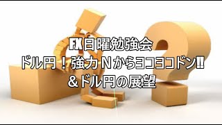 FX日曜勉強会 ドル円！強力Ｎからヨコヨコドン‼＆ドル円の展望