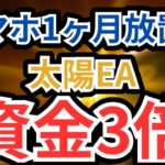 【FX自動売買】太陽EAで月利300%達成！爆益の秘密を公開