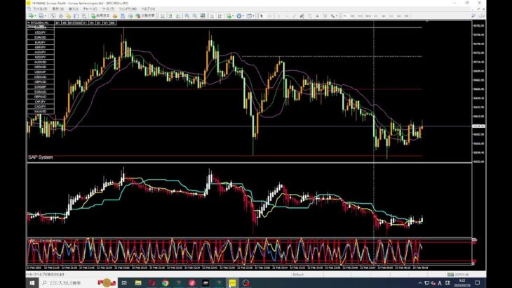 FX 検証 BTC/USD 250219